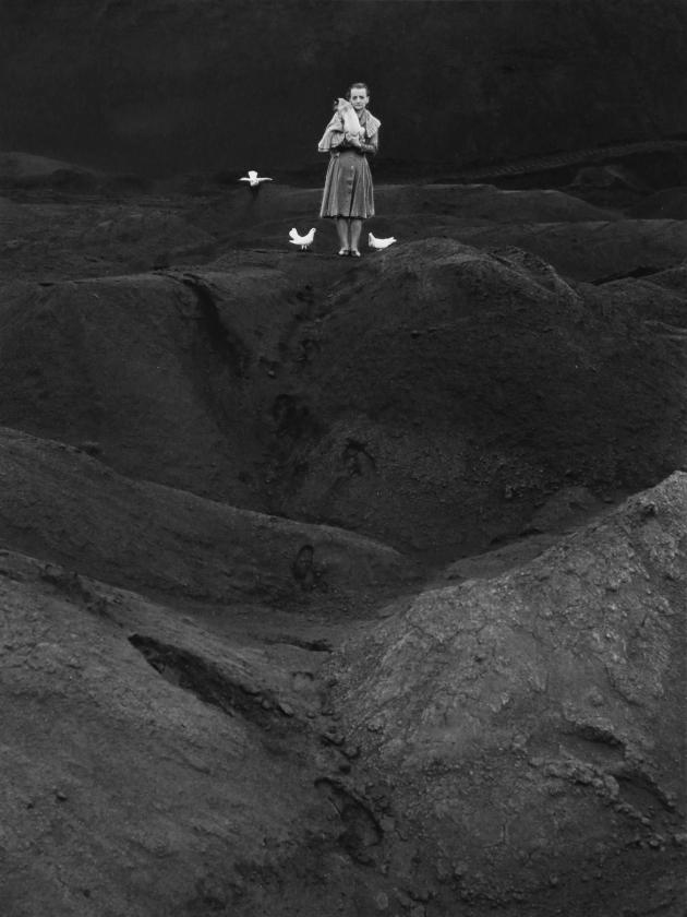 Terre rosse Spinoglio