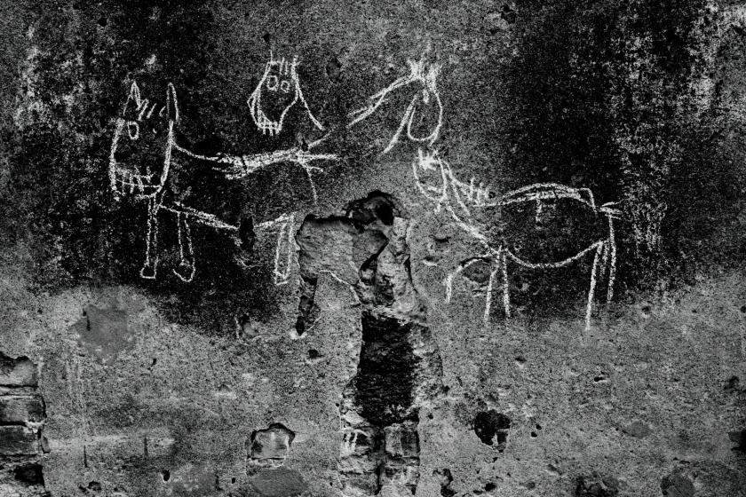 Don Chisciotte